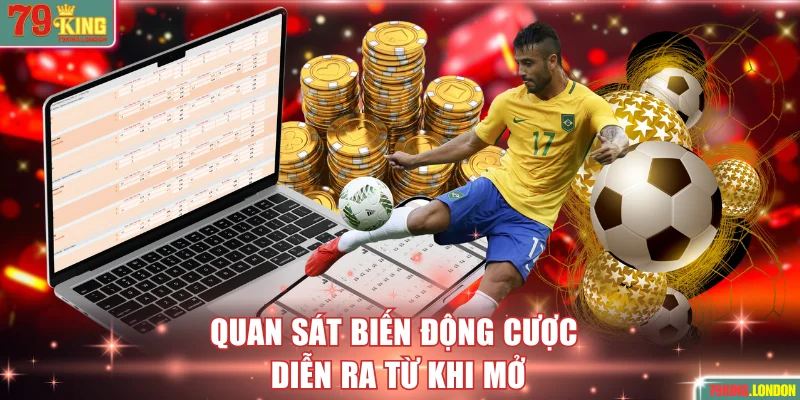 Quan sát biến động cược diễn ra từ khi mở